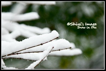 雪