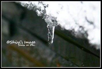 雪