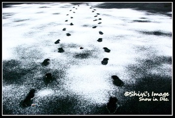 雪