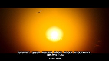 疯狂世界