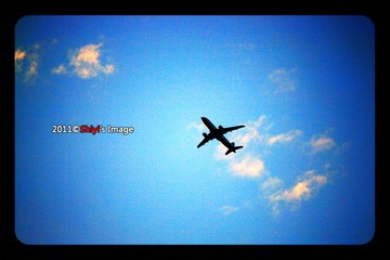 Fly away