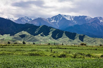 IMG_4434s