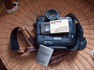 P1000513.jpg