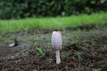 照片 075.jpg