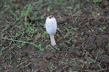 照片 072.jpg