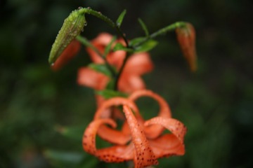 照片 196.jpg
