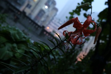照片 208.jpg