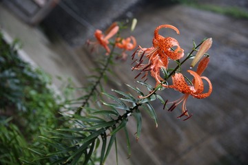 照片 212.jpg