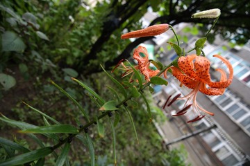 照片 218.jpg