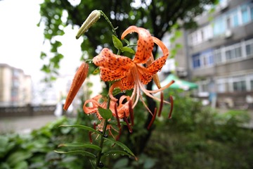 照片 221.jpg