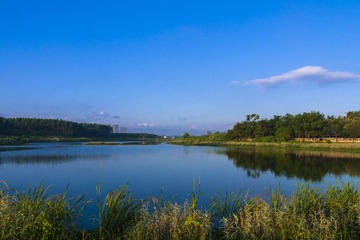 IMG_6854 _1