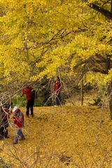 IMG_3742 201301128