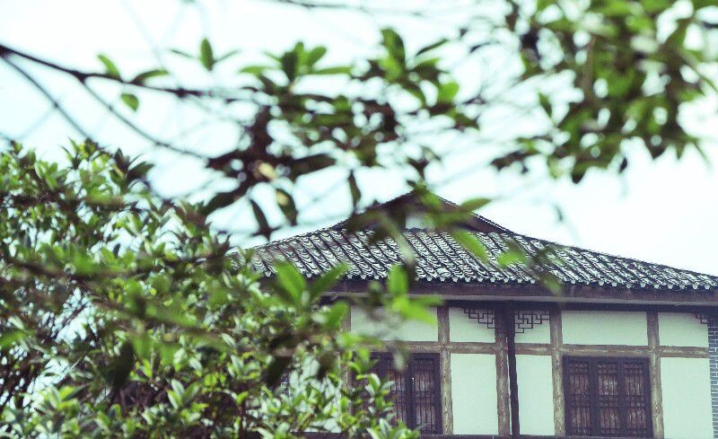 我眼中的磁器口<br />
