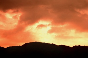 IMG_1440.jpg