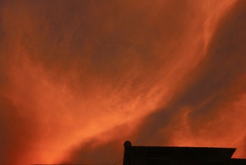 IMG_1512.jpg