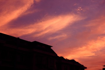 IMG_1513.jpg