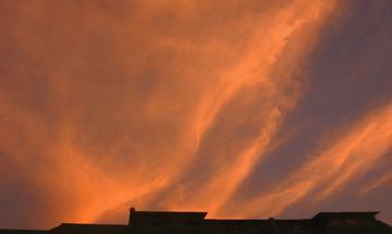 IMG_1517.jpg