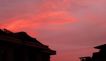 IMG_1516.jpg