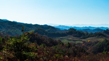 _DSC0030 (2)