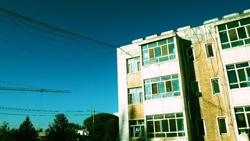 P7130474.JPG