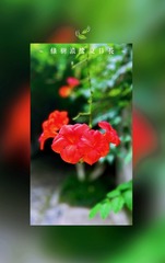 7EB479CC-F5F2-4CEC-8AD0-BB68CA0BE980/L0/001
