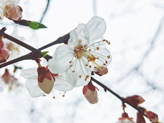 B181608A-5A5B-4136-B0A8-8CEE350BAFAA/L0/001