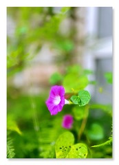 B1903F04-DA74-4A74-887D-D4F2B14AF38B/L0/001