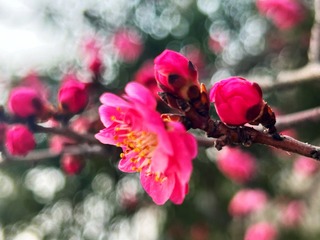 61382B0B-DC1B-4B65-BB44-8F710D15AB14/L0/001