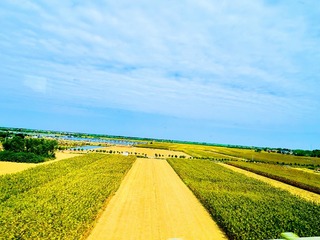 65959804-74F1-4262-B454-89EC6F22F909/L0/001