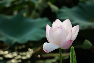 DSC07314.JPG