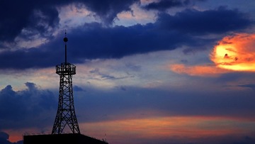 IMG_0113.jpg