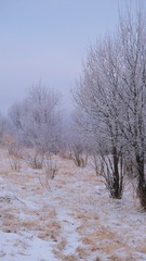 72AD8899-C951-4D15-9F99-7461C88B1A59/L0/001