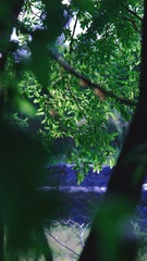 CE543EF0-078D-40D6-9904-DF131D664DB4/L0/001