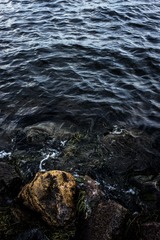 IMG_8753-1