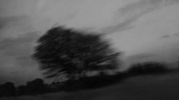 WP_20140817_104
