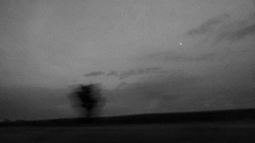 WP_20140817_125