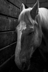 IMG_9162-2