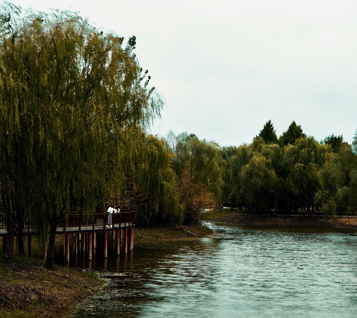 南京长江三桥湿地公园