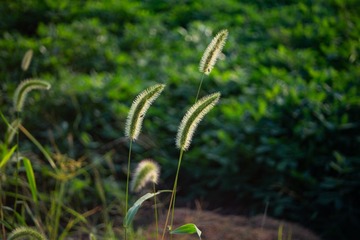 F188A086-635F-43B8-B19D-EA2188B3F871/L0/001