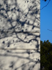 61135A52-2587-42BF-AC60-4A2682D41027/L0/001