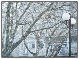 3DC0AC0E-7119-4533-9BB0-EE7639151CB7/L0/001