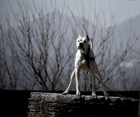 B3D70C2E-D266-49A7-90C2-AA692E8732AB/L0/001