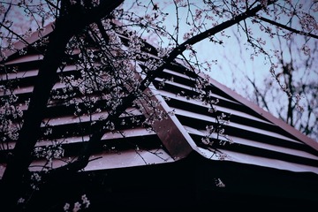 4A8D4FD2-109A-4E32-BA42-9C9ED2CC3949/L0/001