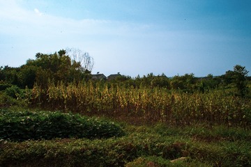 A07E2F1D-97F3-4CF6-8BB0-6D724071FA0C/L0/001
