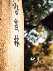 98A9E709-03EB-4390-AE17-3CFDE3C26730/L0/001