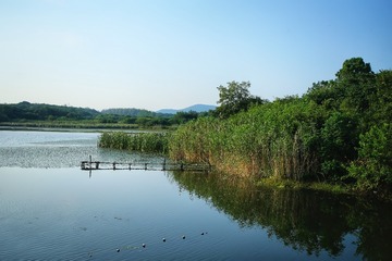 09453BD1-C096-4687-85D6-8F2861818D66/L0/001