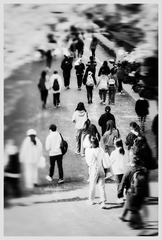 E2B6A29C-BF92-48CC-98E0-47441641BDED/L0/001