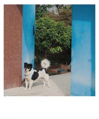 001