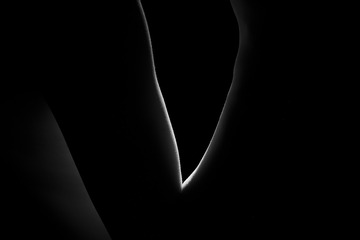 2081610