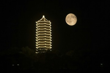 博雅映月